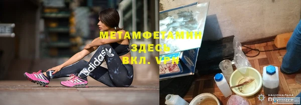 ПСИЛОЦИБИНОВЫЕ ГРИБЫ Заводоуковск
