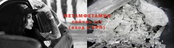 ПСИЛОЦИБИНОВЫЕ ГРИБЫ Заводоуковск