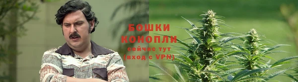 ПСИЛОЦИБИНОВЫЕ ГРИБЫ Заводоуковск