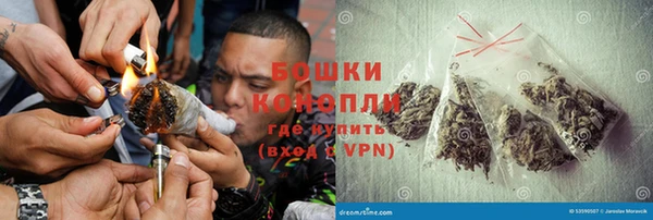 ПСИЛОЦИБИНОВЫЕ ГРИБЫ Заводоуковск