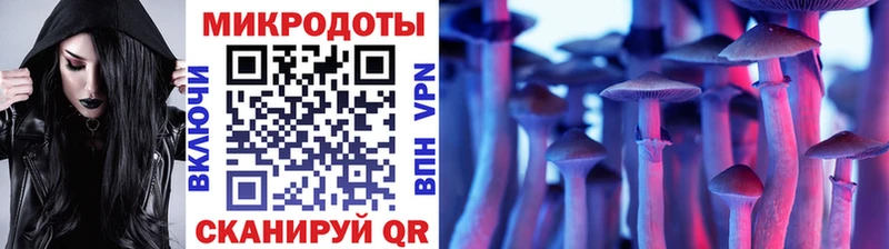 где купить Братск Галлюциногенные грибы Magic Shrooms